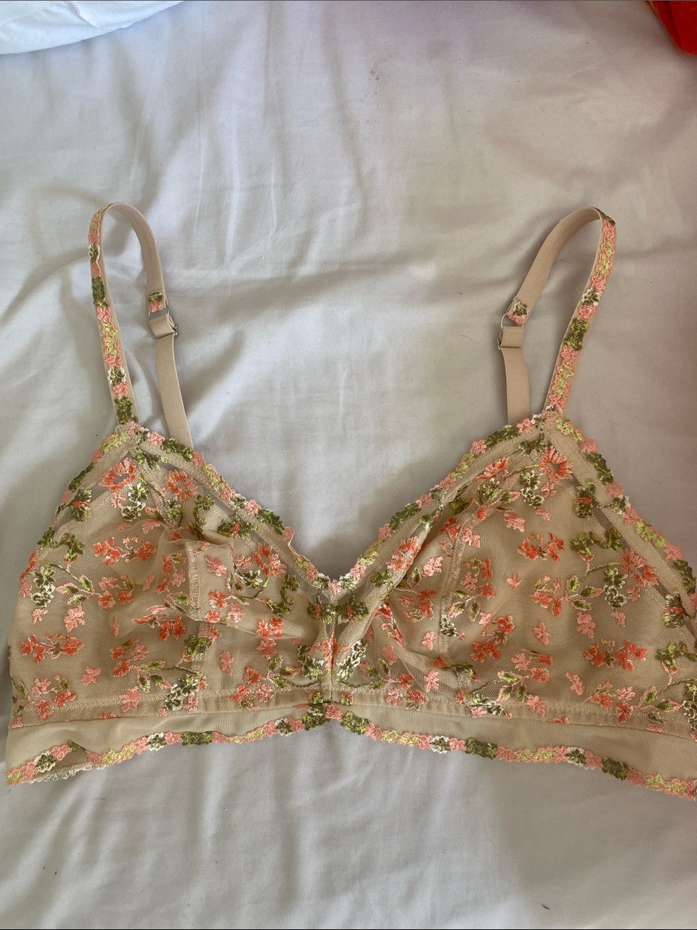 aerie Beige Sheer Floral Embroidered Bralette with Pink & Green Accents